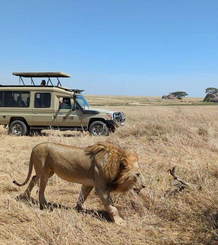 Exclusive Private Safari